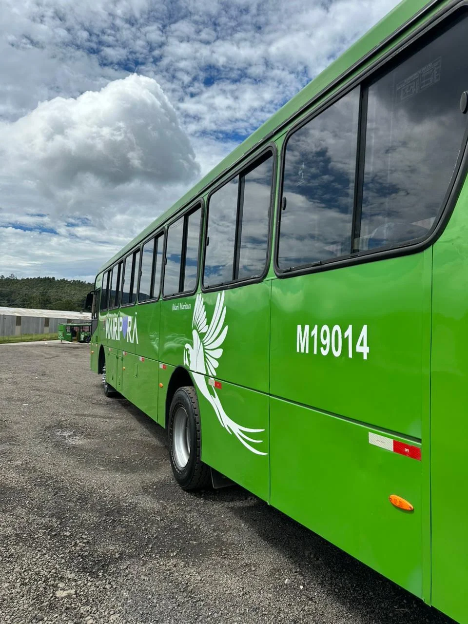Ônibus Urbano Caio Apache Vip Mercedes-benz 1721 C/ Ar 2018/2019